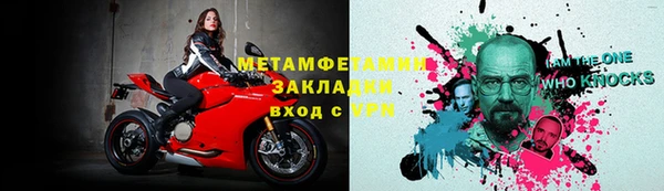 трава Ельня
