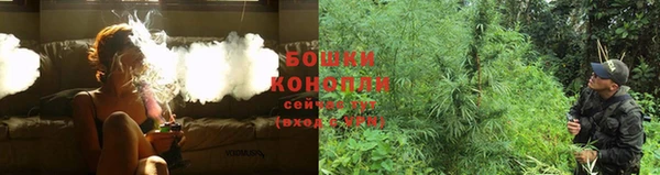 трава Ельня
