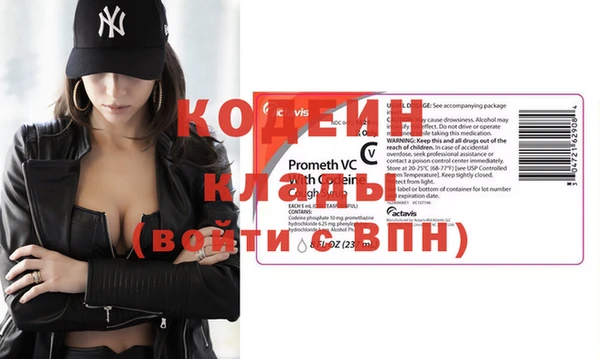 трава Ельня