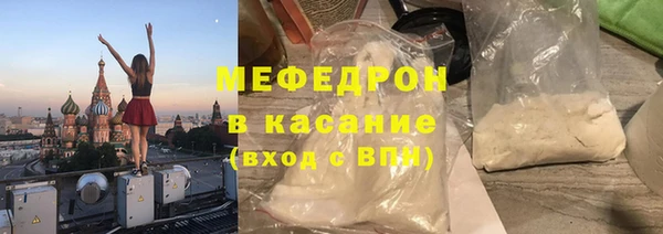 трава Ельня