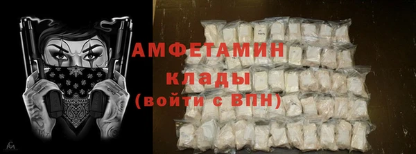 трава Ельня