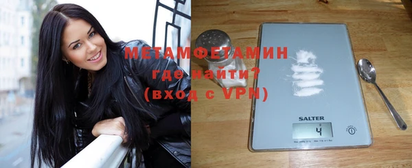 трава Ельня