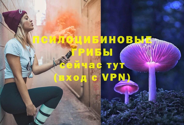 трава Ельня
