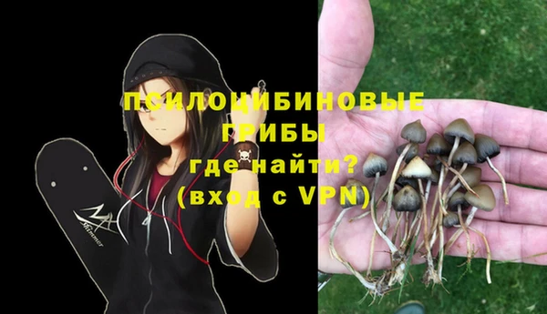 трава Ельня