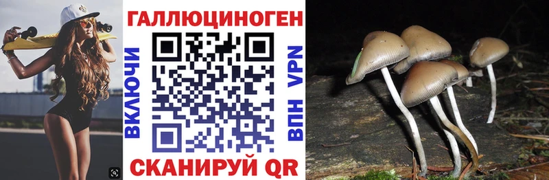 мориарти наркотические препараты  Мегион  Галлюциногенные грибы Psilocybine cubensis 
